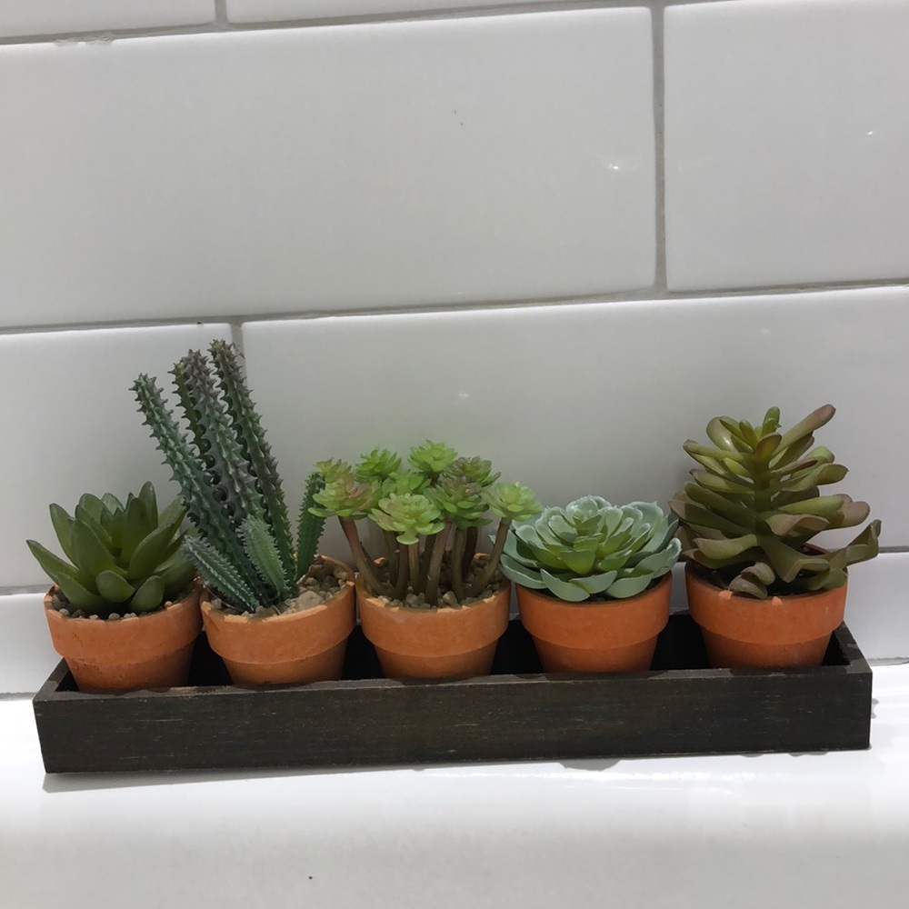 Fake plant set